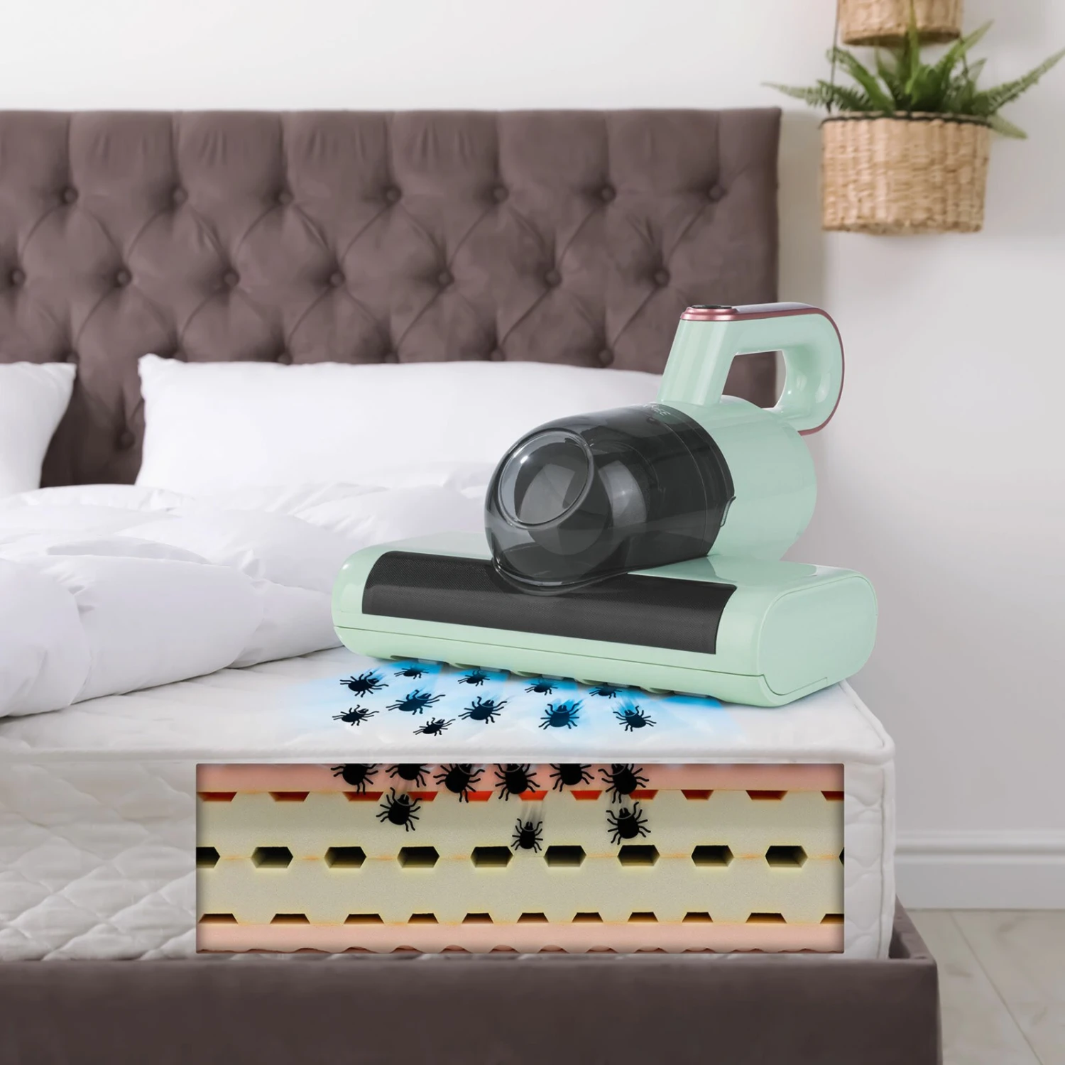 MAXXMEE Milben-Handstaubsauger - mintgrün - 300 Watt 7 MAXXMEE Milben-Handstaubsauger - mintgrün - 300 Watt – Bild 5